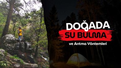 Doğada su bulma yöntemleri