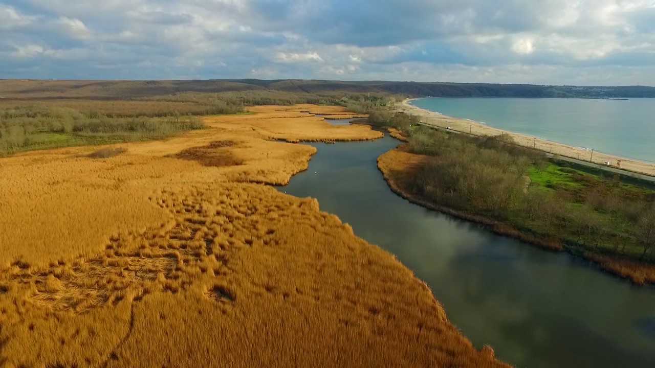 İğneada Longoz Ormanları