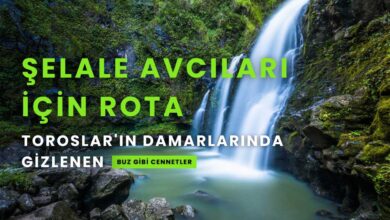 Şelale Avcıları İçin Rotalar