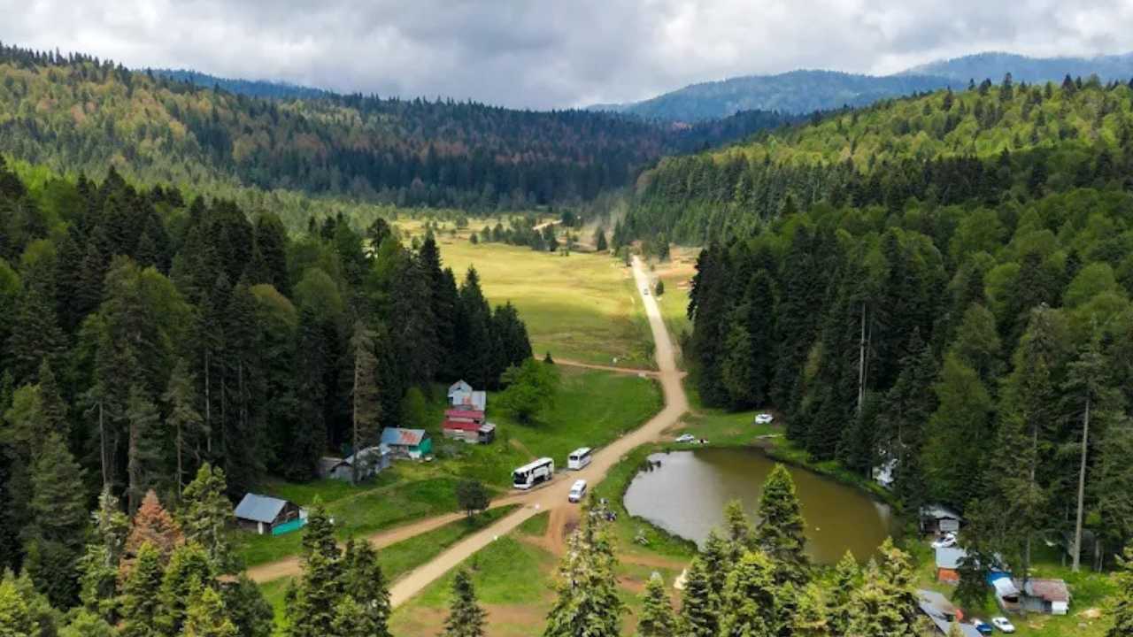 Pürenli Yaylası (Düzce)