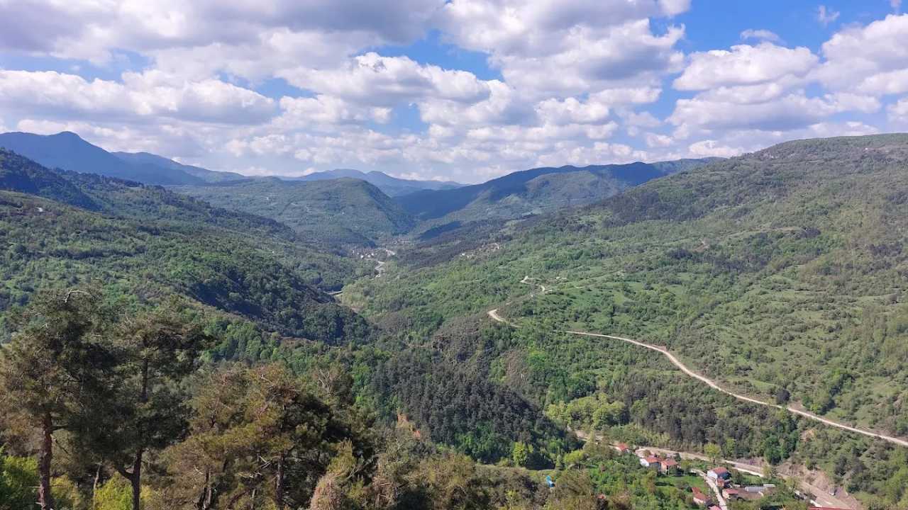 Yenice Ormanları (Karabük)